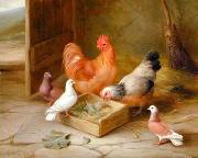 unknow artist Poultry 093 china oil painting artist